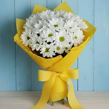 Букет цветов из:  Хризантемы в Ивановском Ставропольского края