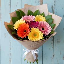 Букет цветов из:  Герберы в Ивановском Ставропольского края