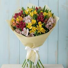 Букет цветов из:  Альстромерии в Ивановском Ставропольского края
