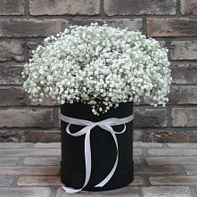 Цветочная композиция из Гипсофила в шляпной коробке #REPLACE_PRED# Ивановском Ставропольского края