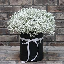 Цветочная композиция из Гипсофила в шляпной коробке в Ивановском Ставропольского края