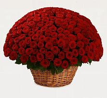 Премиум букет из: Розы в Ивановском Ставропольского края
