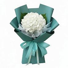 Букет цветов из:  Гортензия #REPLACE_PRED# Ивановском Ставропольского края